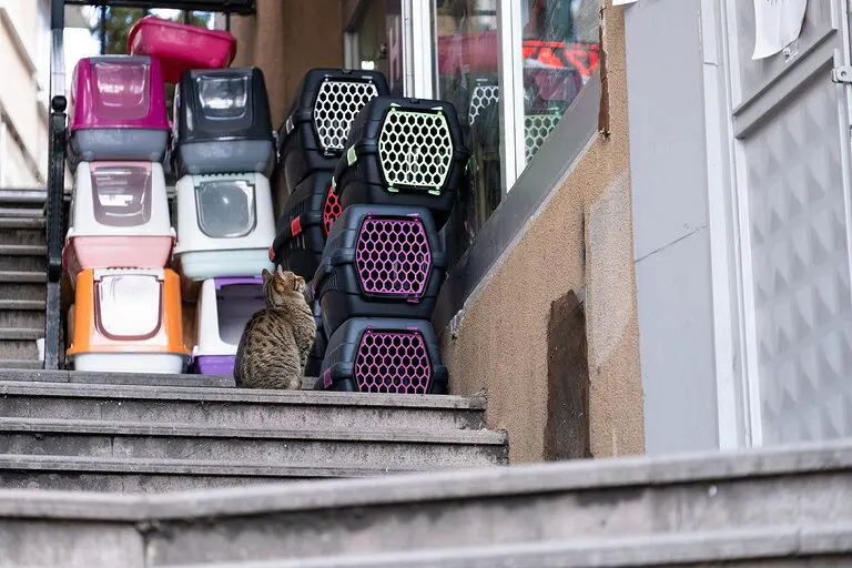 découvrez les boutiques de recyclage : votre destination pour des objets durables et uniques. offrez une seconde vie à vos biens tout en soutenant l'environnement et l'économie locale.
