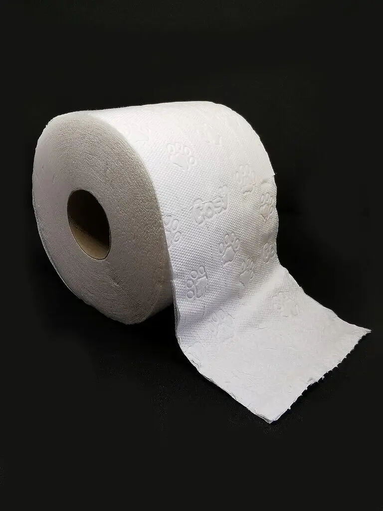 découvrez notre papier toilette recyclé, une option écologique qui allie confort et respect de l'environnement. fabriqué à partir de matériaux recyclés, il est doux, résistant et idéal pour un mode de vie durable.