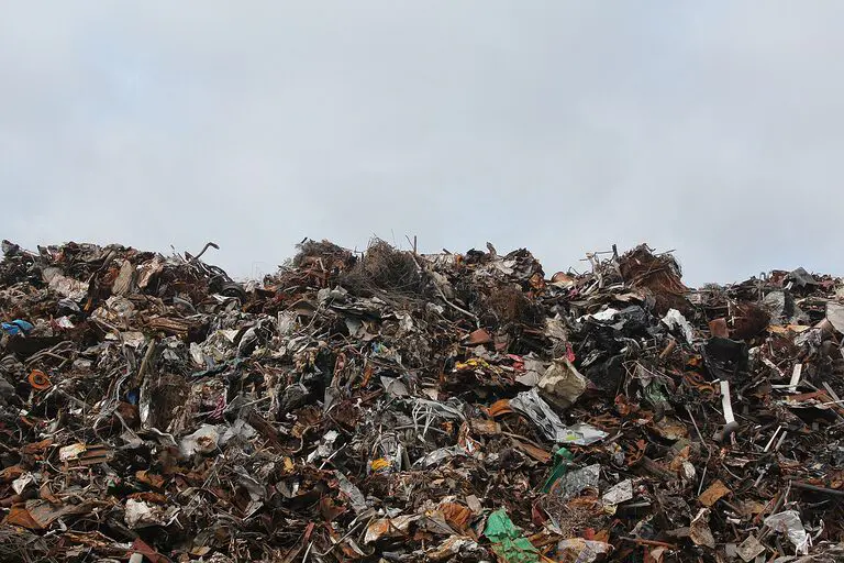 découvrez le mouvement zéro déchet : des conseils pratiques pour réduire vos déchets au quotidien, adopter un mode de vie durable et préserver notre planète. rejoignez la révolution éco-responsable et apprenez à consommer intelligemment.