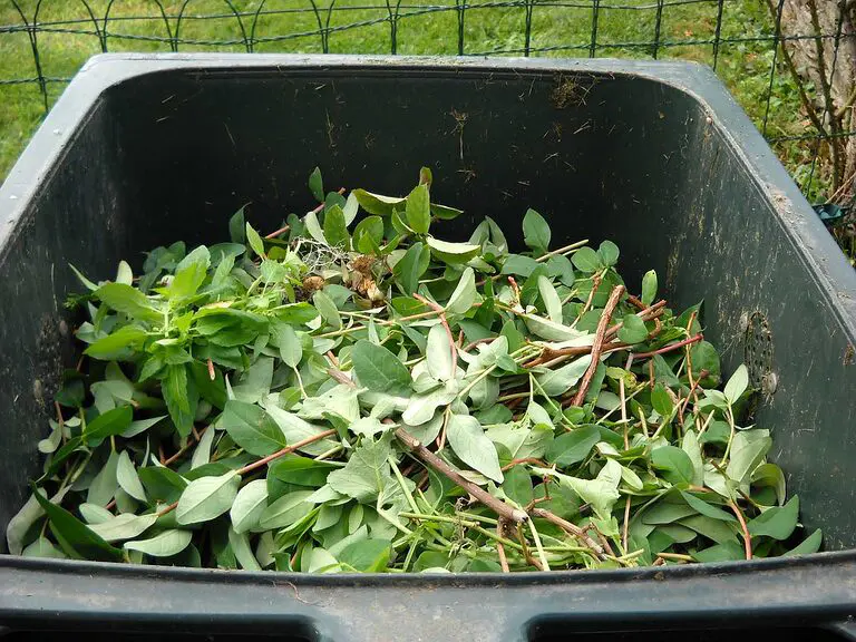 découvrez l'art du compostage, une méthode écologique pour recycler vos déchets organiques et enrichir votre jardin. apprenez comment transformer vos restes alimentaires en un compost nourrissant, bénéfique pour la planète et votre potager.