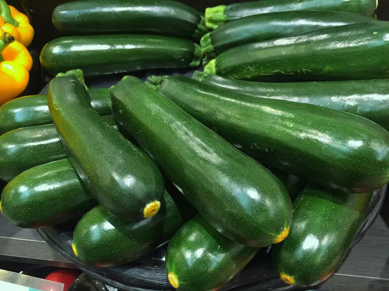 découvrez tout sur la courgette : ses bienfaits nutritionnels, des recettes savoureuses, des astuces de préparation et des conseils pour la cultiver dans votre jardin. la courgette est un légume polyvalent qui s'intègre facilement dans de nombreux plats pour une cuisine saine et délicieuse.