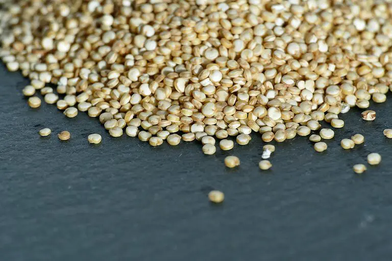 découvrez les bienfaits du quinoa, un super-aliment riche en protéines et en nutriments. apprenez comment cuisiner ce grain polyvalent pour vos plats sains et équilibrés.