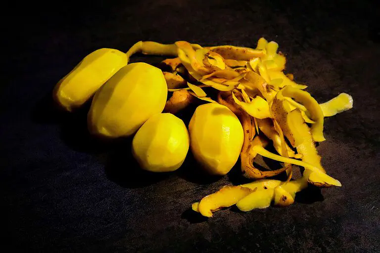 découvrez notre délicieuse recette de soupe à la peau de pomme de terre, un plat réconfortant et savoureux qui utilise des ingrédients simples et des peaux de pommes de terre souvent négligées. parfait pour régaler vos proches tout en réduisant le gaspillage alimentaire.