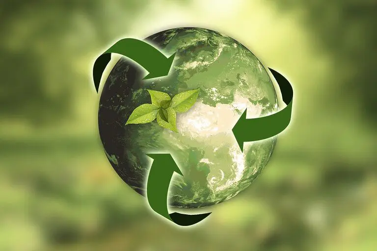 découvrez l'importance des matériaux durables pour un avenir respectueux de l'environnement. apprenez comment ces ressources innovantes peuvent réduire l'impact écologique et favoriser une consommation responsable dans divers secteurs.