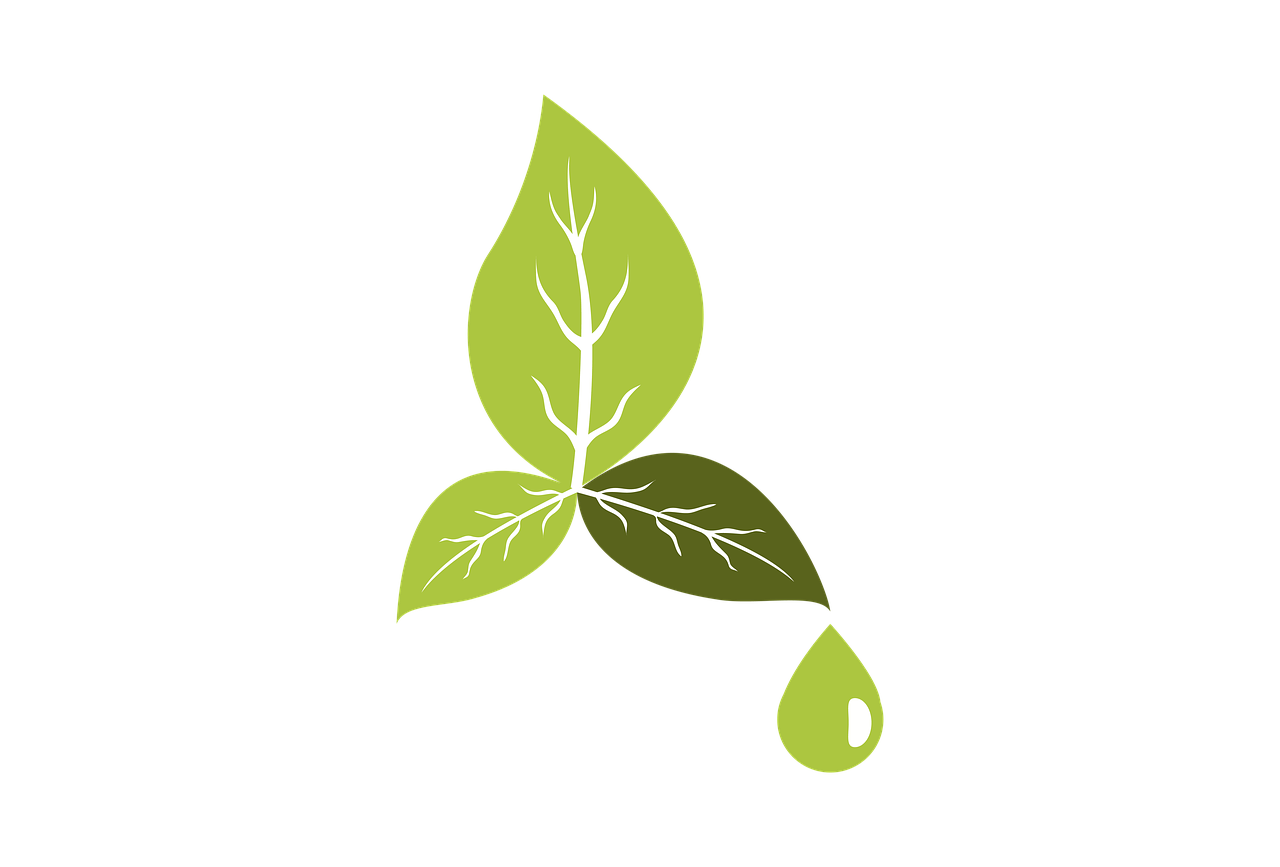 découvrez notre sélection de friandises écologiques, savoureuses et respectueuses de l'environnement. un choix délicieux pour allier plaisir et durabilité tout en gâtant vos proches.
