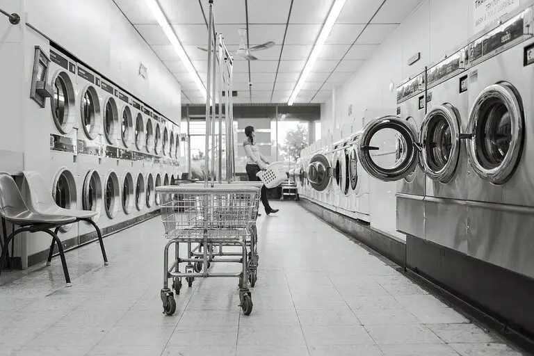 découvrez notre sélection de lessives non toxiques, respectueuses de l'environnement et de votre santé. optez pour des produits efficaces, sans produits chimiques nocifs, pour un linge propre et frais, tout en préservant la planète.