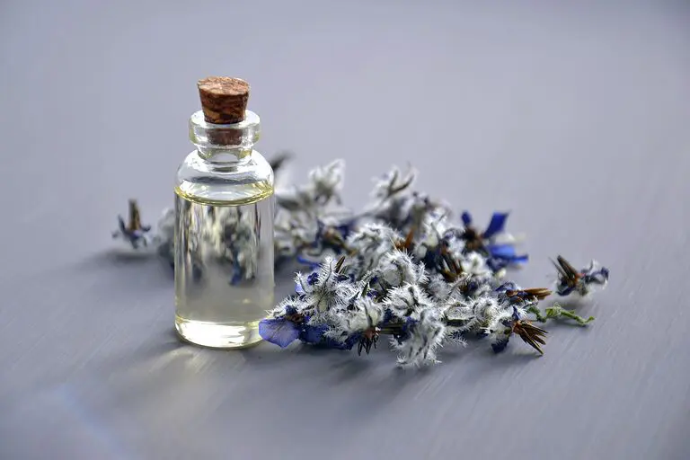 découvrez nos essentiels de plage pour profiter pleinement de vos journées ensoleillées. des vêtements légers aux accessoires indispensables, préparez-vous à vivre des moments inoubliables au bord de l'eau.