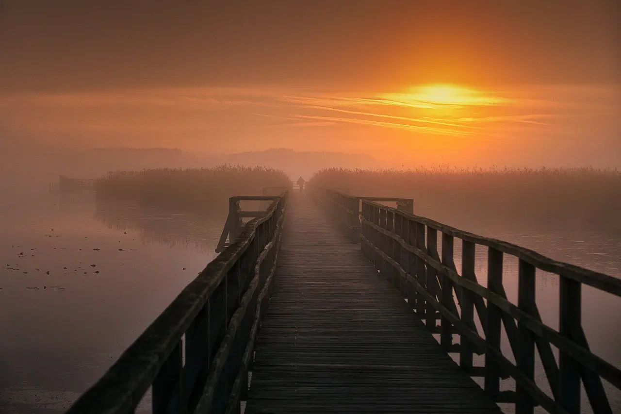 découvrez la beauté de la nature à travers nos articles et conseils sur l'écologie, la faune, la flore et les paysages exceptionnels. plongez dans un monde naturel fascinant et apprenez à préserver notre planète.
