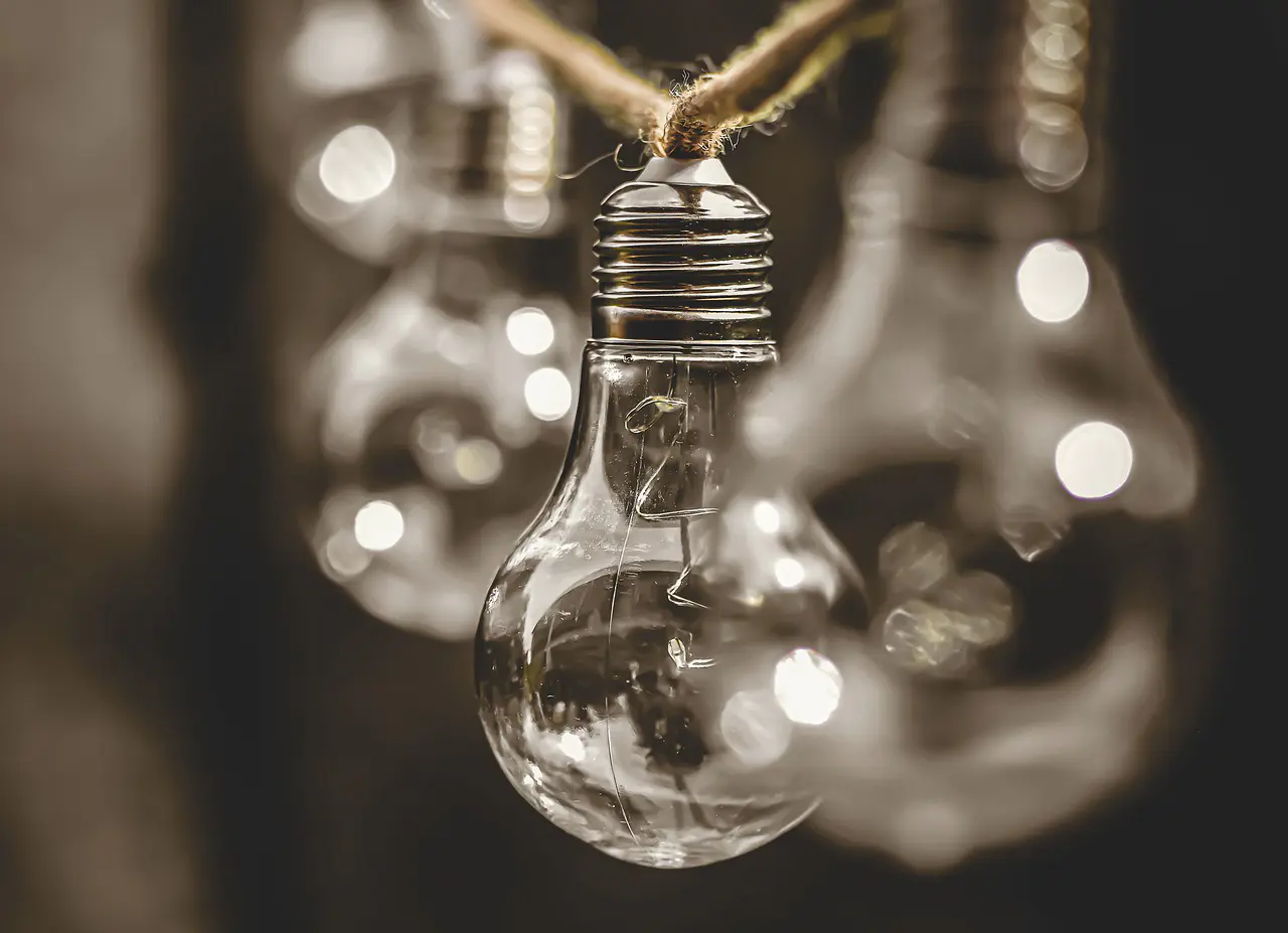 explorez les pratiques et les initiatives durables qui façonnent un avenir meilleur. découvrez comment la durabilité influence notre mode de vie, nos choix de consommation et nos actions environnementales pour préserver notre planète.