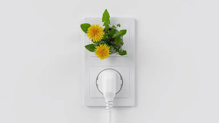 découvrez la mode durable : un mouvement éthique qui allie style, écologie et responsabilité. explorez des vêtements conçus pour réduire l'impact environnemental tout en célébrant la créativité et l'innovation. un choix qui fait la différence pour notre planète.