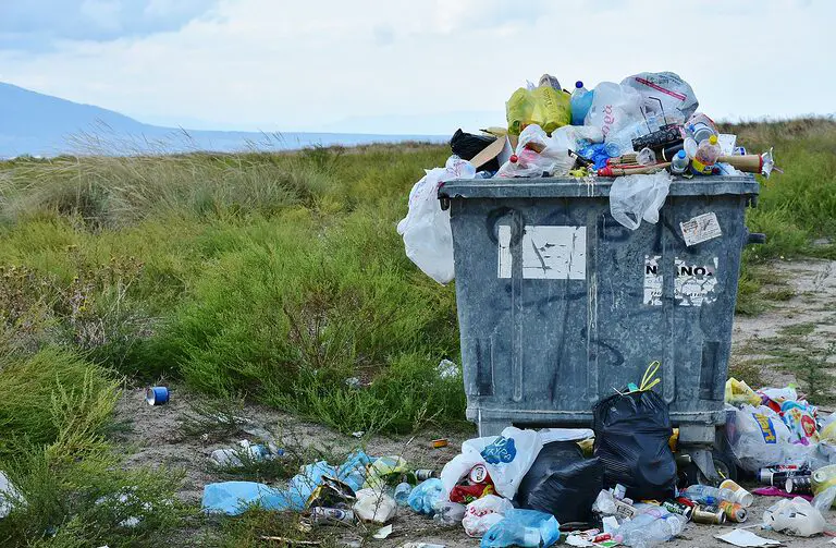 découvrez les enjeux du gaspillage alimentaire et explorez des solutions pratiques pour réduire vos déchets alimentaires au quotidien. informez-vous sur l'impact du gaspillage sur l'environnement et apprenez à adopter des comportements écoresponsables.