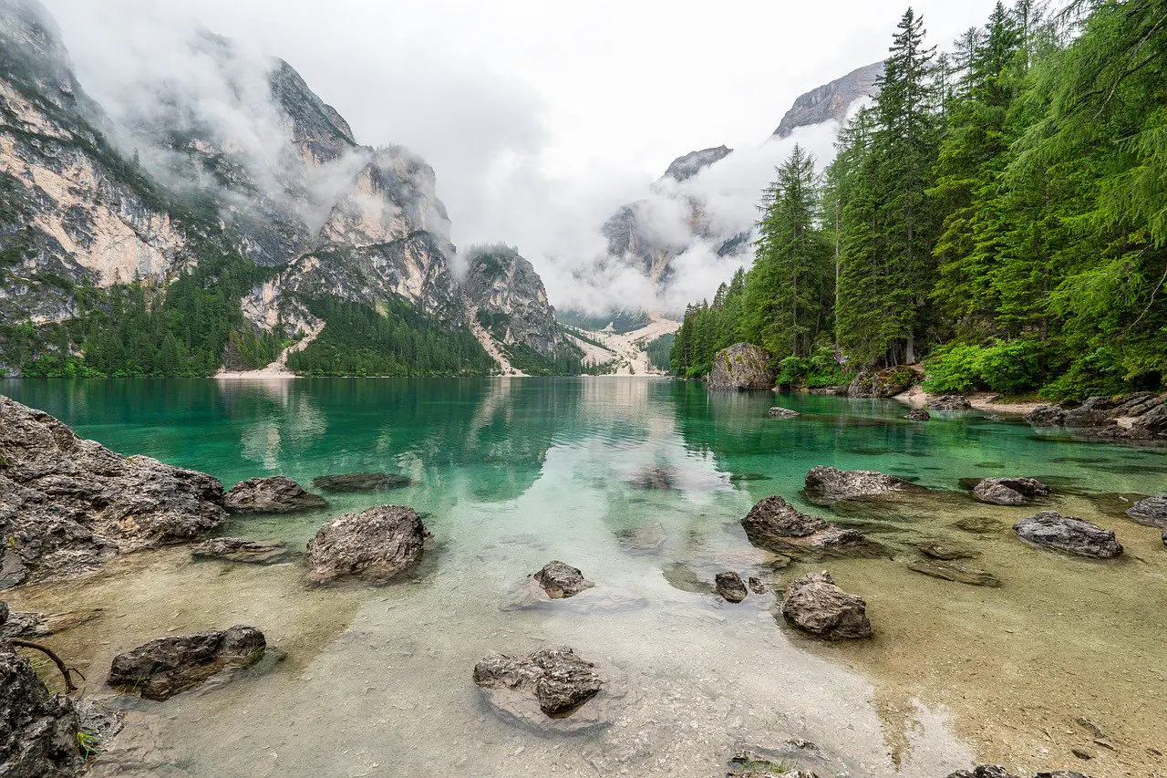 découvrez la beauté et la diversité de la nature à travers nos articles captivants, explorant les paysages, la faune et la flore qui font de notre planète un lieu unique et fascinant.